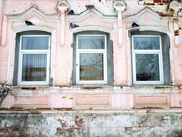 Pigeons Sitting Windows Old Building — 图库照片