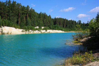 Turkuaz gölünün kıyısında ağaçlar yetişir.
