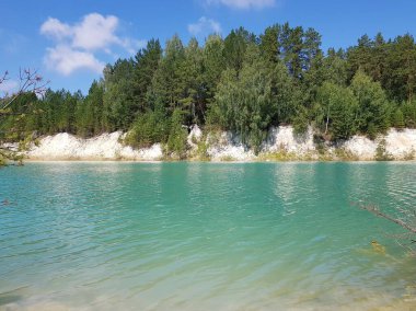 Turkuaz gölünün kıyısında ağaçlar yetişir.