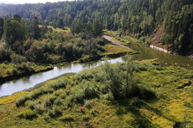 Kayalık nehir kıyısında ağaçlar yetişir.