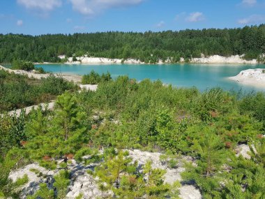 Turkuaz bir gölün kıyısında ağaçlar yetişir.