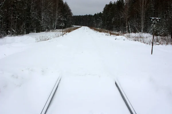 Ferrocarril Bosque Cubierto Nieve Blanca — Foto de Stock