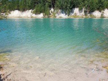 Turkuaz bir gölün kıyısında ağaçlar yetişir.
