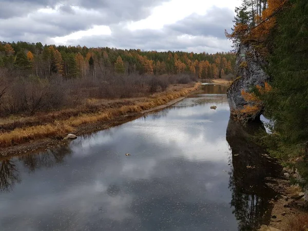 Les Arbres Poussent Sur Les Rives Côte Rocheuse — Photo