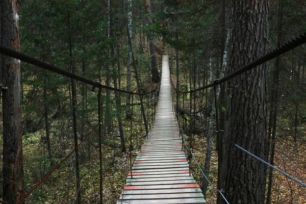 Pedestrian Wooden Bridge Dark Forest — Foto de Stock