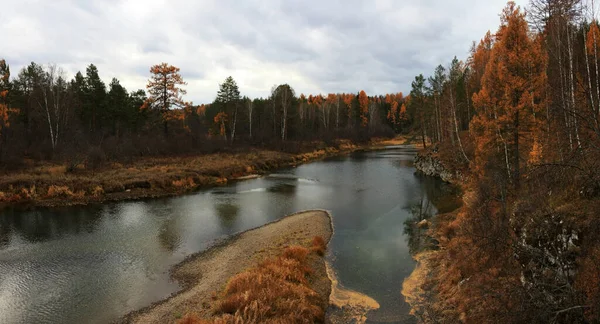 Stromy Rostou Břehu Skalnatého Pobřeží — Stock fotografie