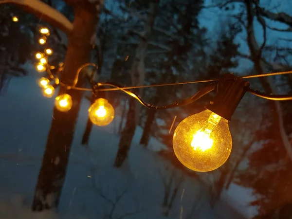 Guirlande Noël Sur Les Arbres Hiver — Photo