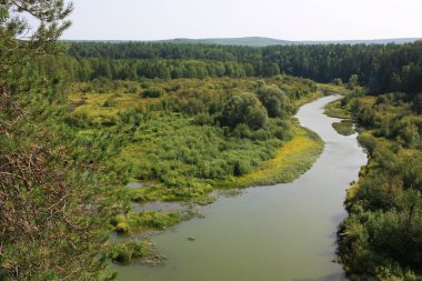 Ağaçlar kayalık kıyılarda yetişir.