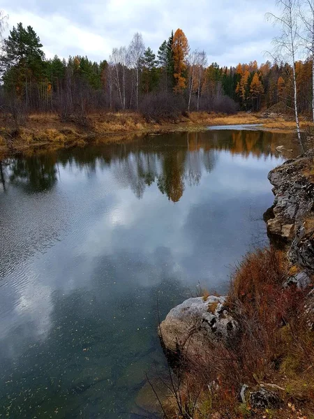 Les Arbres Poussent Sur Les Rives Côte Rocheuse — Photo