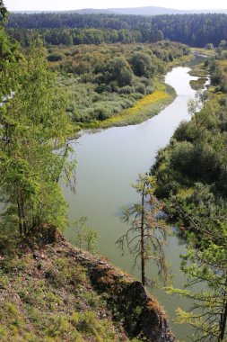 Nehir kıyısında ağaçlar yetişir.