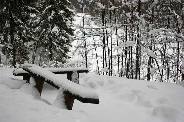 Bänk Snön Vinterskogen — Stockfoto