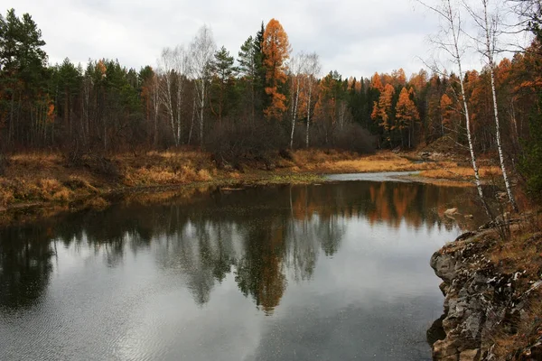 Gli Alberi Crescono Lungo Rive Del Fiume — Foto Stock