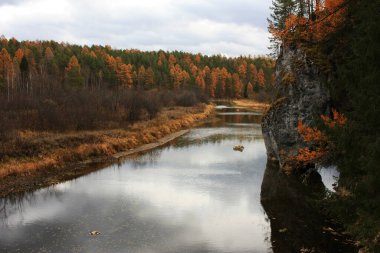 Nehrin kıyısında ağaçlar yetişir.