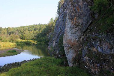 Nehir kıyısında ağaçlar yetişir.