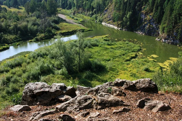 Des Arbres Poussent Sur Les Rives Rivière — Photo