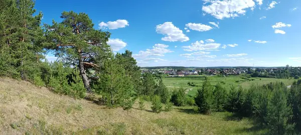 Ліс Росте Схилі Пагорба — стокове фото