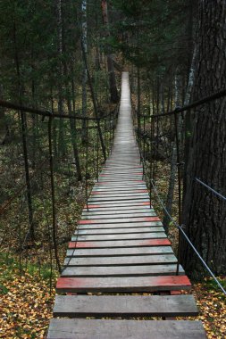 Ormanda ahşap asma köprü