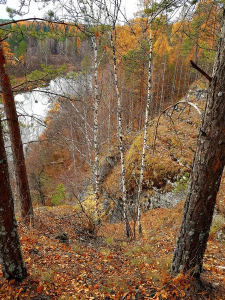 Felsen Ufer Des Flusses — Stockfoto