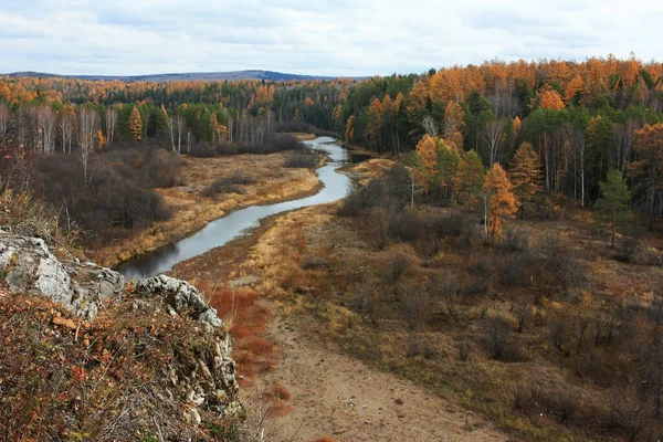 Gli Alberi Crescono Sulle Rive Del Fiume — Foto Stock