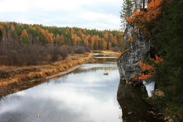 Des Arbres Poussent Sur Les Rives Rivière — Photo