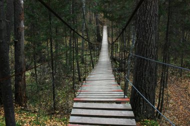 Karanlık bir ormanda yaya köprüsü