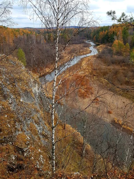 Folyó Partján Fák Nőnek — Stock Fotó