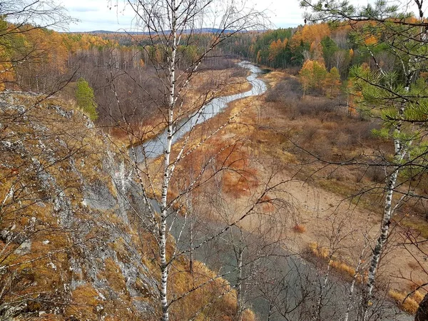 Trees Grow Banks River — Stock Photo, Image