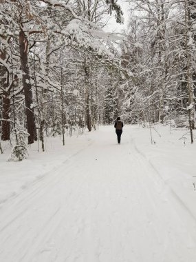 Bir adam kış Ormanda yürür