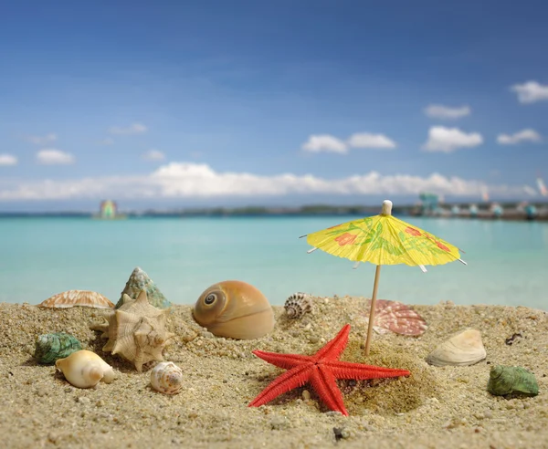 Starfish sob sombra de guarda-chuva de papel — Fotografia de Stock