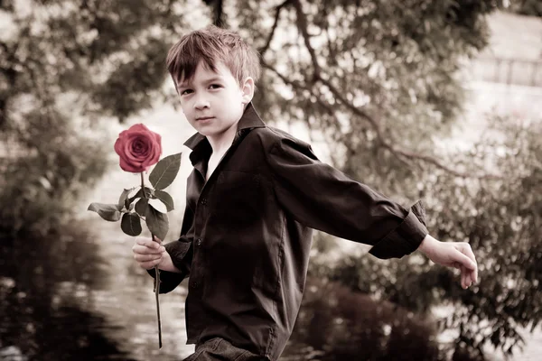 Menino com rosa na mão, fotos envelhecidas, verão, parque — Fotografia de Stock