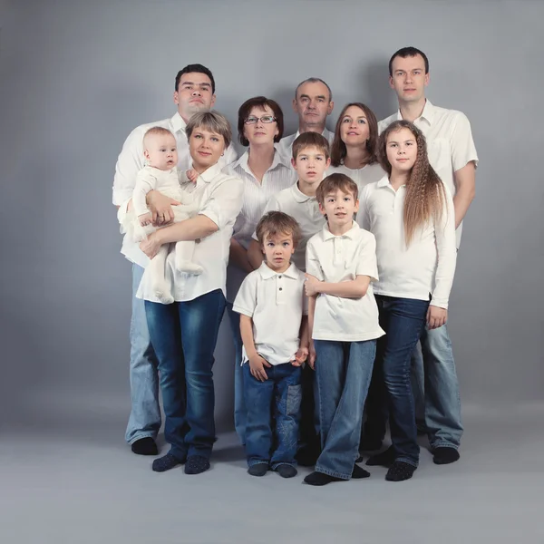 Large family portrait, studio — Stock Photo, Image