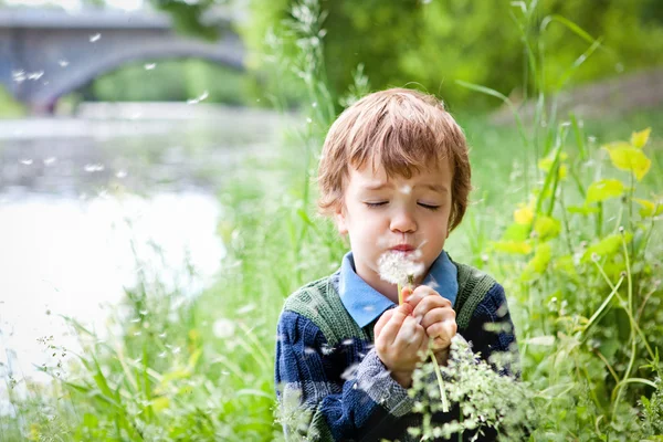 Portrait of boy sitting on grass in park — Stock Photo, Image