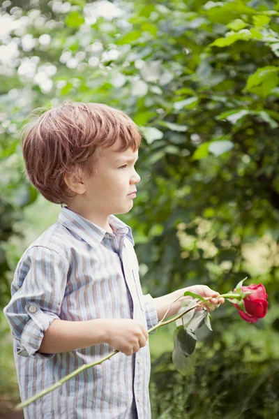 Junge hält Rose in der Hand, — Stockfoto