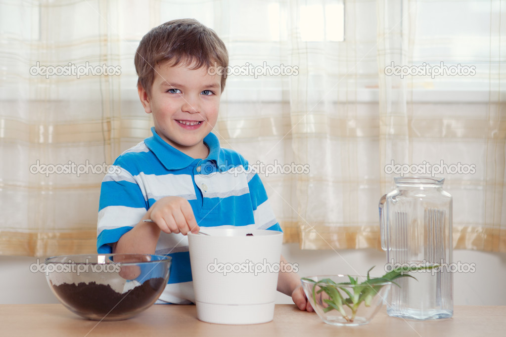 Boy puts plant in pot Stock Photo by ©rimdream 24764311