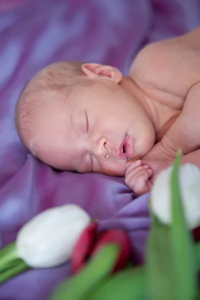 Retrato del bebé recién nacido dormido, interior — Foto de Stock