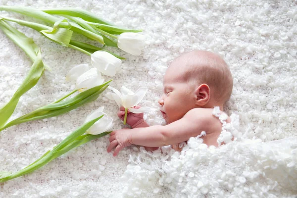 Retrato de bebê recém-nascido adormecido no quarto — Fotografia de Stock