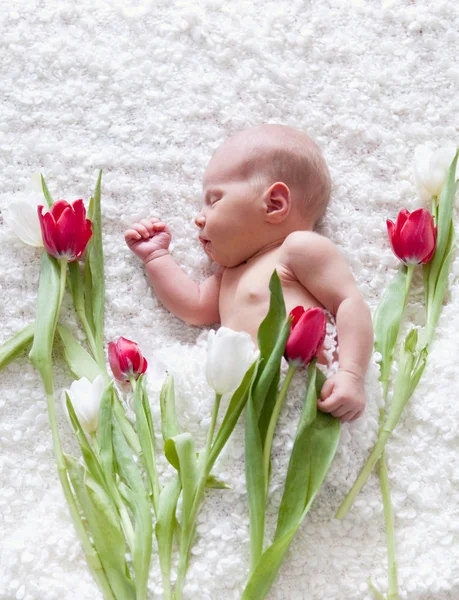 Retrato de bebê recém-nascido adormecido no quarto — Fotografia de Stock