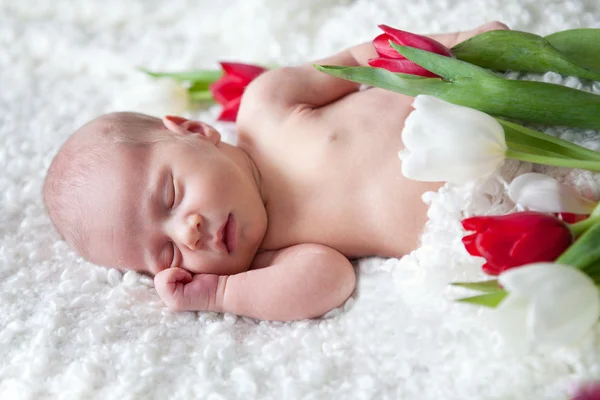 Retrato de bebê recém-nascido adormecido no quarto — Fotografia de Stock