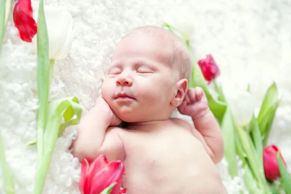 Retrato del bebé recién nacido dormido en la habitación — Foto de Stock