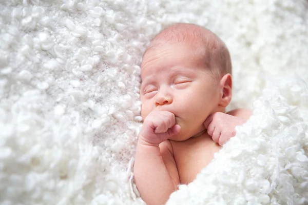 Portrait of sleeping newborn baby in room — Stock Photo, Image