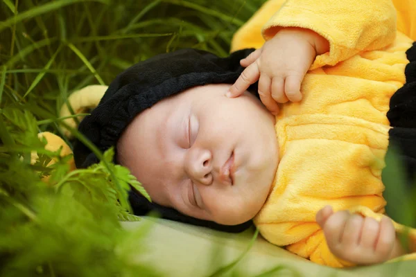 Porträt eines als Biene verkleideten Babys — Stockfoto