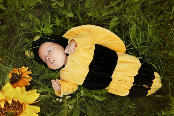 Портрет дитини, одягнений як бджола — стокове фото