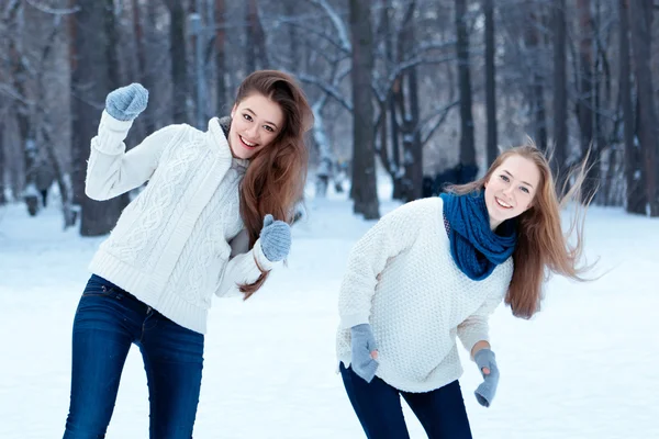 Retrato de duas meninas bonitas no parque de inverno — Fotografia de Stock