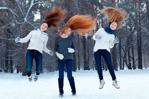 Retrato de tres hermosas chicas en el parque de invierno —  Fotos de Stock