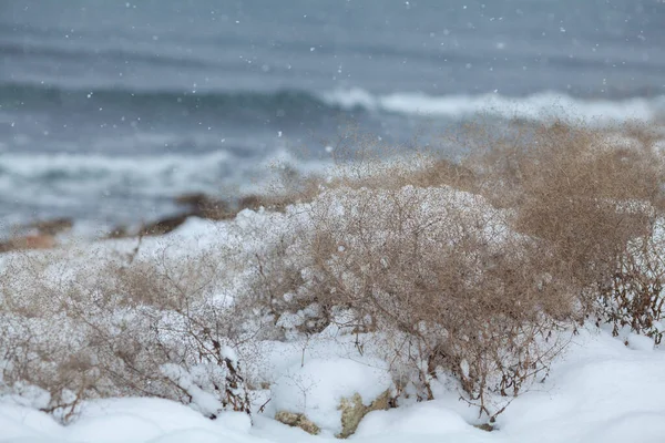 Freddo Inverno Mare Azzurro Con Neve Paesaggio — Foto Stock