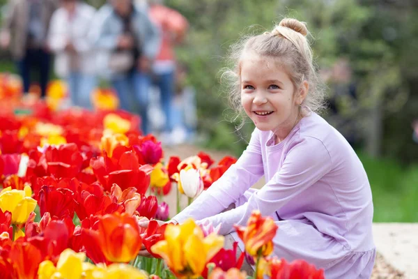 Прекрасне Фото Тюльпанів Квітковий Тюльпан Садова Весняна Природа Великі Бутони — стокове фото