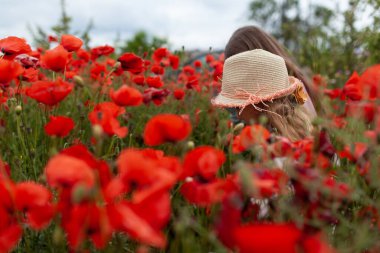 Haşhaş tarlasında şapkalı küçük güzel kız.