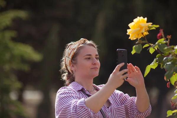 Güzel Bir Kız Akıllı Telefonda Sarı Bir Gülün Fotoğrafını Çeker — Stok fotoğraf