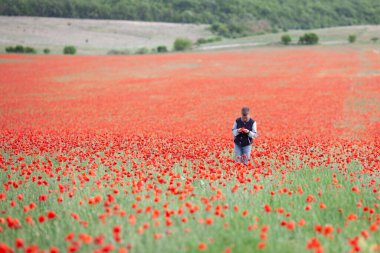 Bir çocuk kırmızı haşhaş tarlasında yürüyor.
