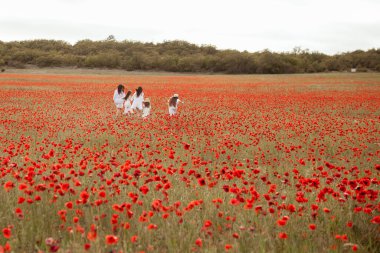 Beyaz elbiseli güzel anne ve kızlar gelincik tarlasında koşuyor.